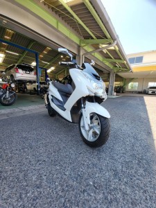 line_oa_chat_250805_110438_group_0