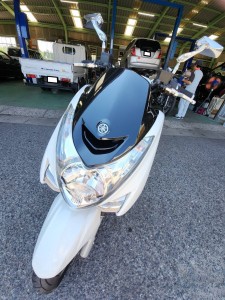 line_oa_chat_250805_110438_group_2