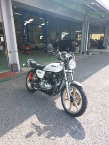 line_oa_chat_260309_112359_group_0