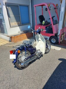 カブ